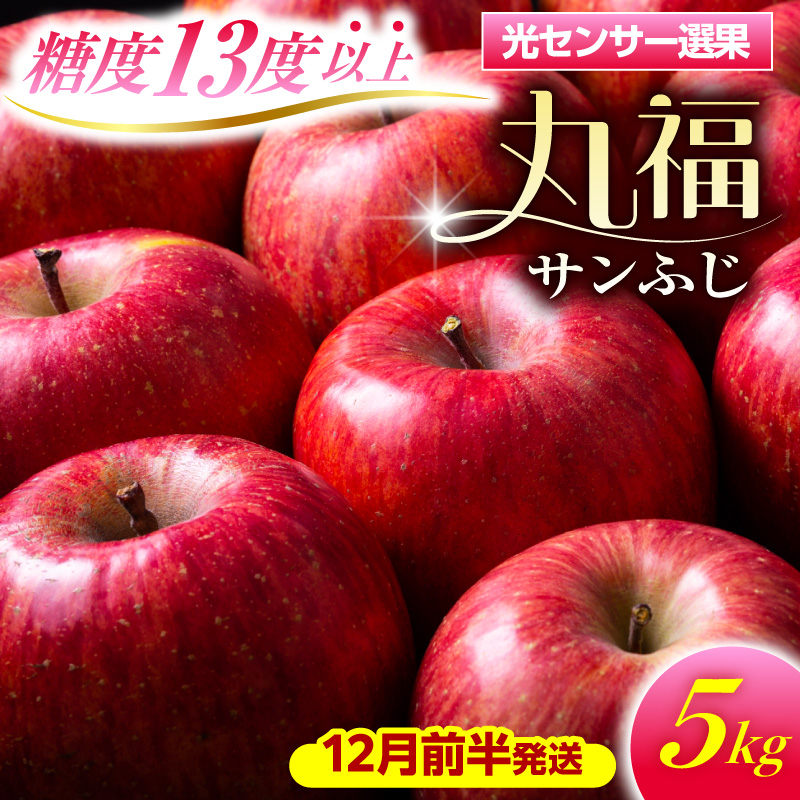 【2026年12月前半発送】 りんご 青森産 約5kg 丸福 サンふじ 光センサー 選果 糖度 13度以上
