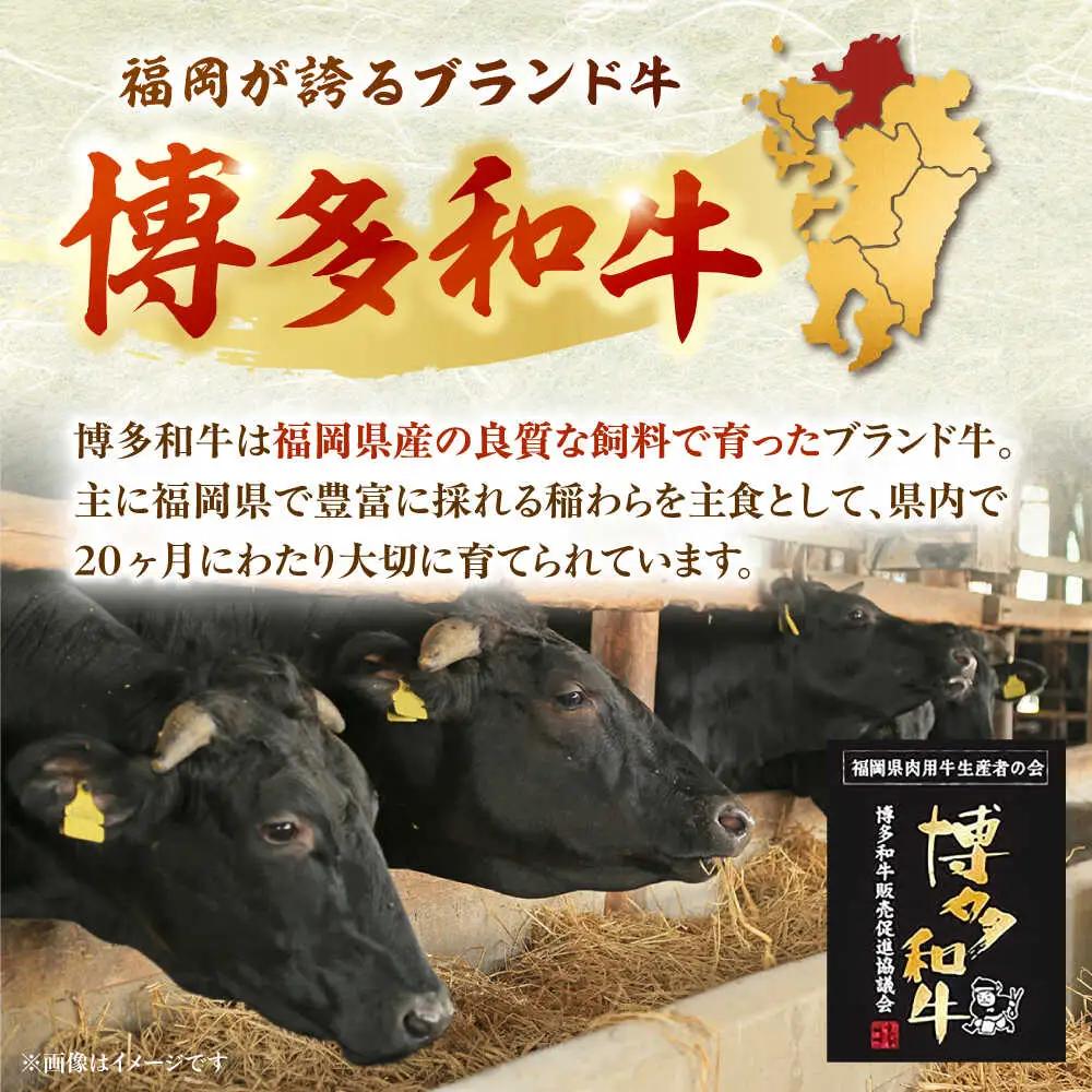 【全6回定期便】【A5-A4等級】博多和牛 サーロイン すき焼き しゃぶしゃぶ 500g 桂川町/株式会社チクゼンヤ [ADBZ023] サーロイン 定期便 和牛 国産