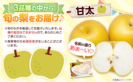 梨 なし 荒尾梨 約1.8～2kg 果物 和梨 村上果樹園 あきづき 甘太 秋麗 【品種の指定不可】 《8月上旬-9月末頃出荷》熊本県 荒尾市 2kg 前後 果物 フルーツ 旬 荒尾市産 国産 冷蔵 