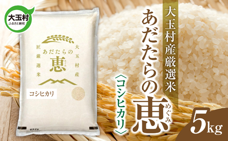 米 大玉村産厳選米「あだたらの恵」（品種：コシヒカリ） 5kg 《 令和7年産  》｜ 福島 大玉村 お米 米作り こしひかり 令和7年 精米 白米 こめ コメ ご飯 送料無料 大玉村農業振興公社 ｜ on-ak-5kg-r7