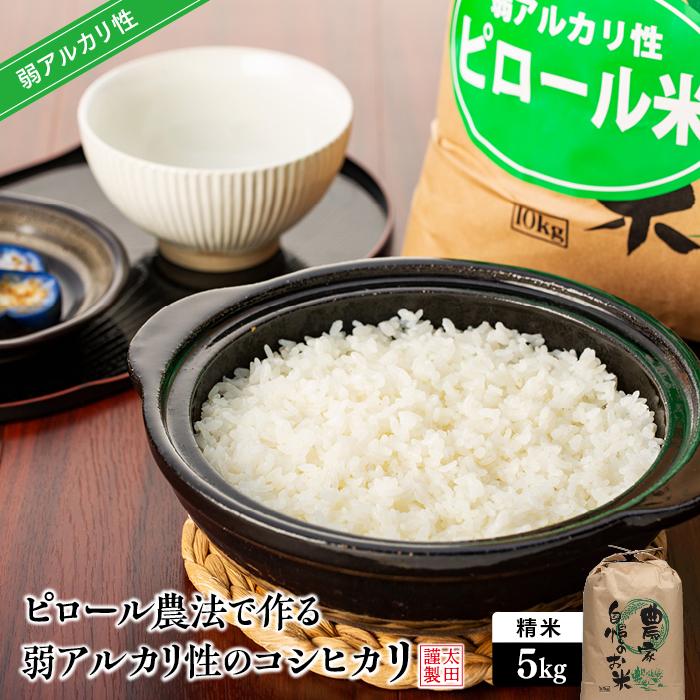 【ふるさと納税】【定期便　全3回】ピロール農法で作る弱アルカリ性のコシヒカリ 5kg