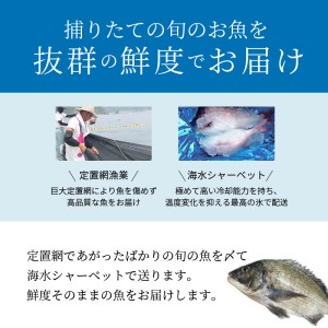 S059-018A_【3枚おろし済み】 天草わくわく便 まるごと鮮魚セット