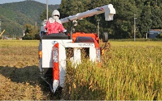 岡山県産 特別栽培米 朝日米 精米 2kg