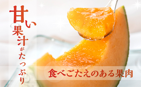 水野農園産タカミレッド　２玉  メロン めろん レッド 先行受付 フルーツ 果物 お中元 お取り寄せ ギフト 渥美半島 田原市 産地直送 送料無料 農家直送 産直 ネット系メロン くだもの デザート 