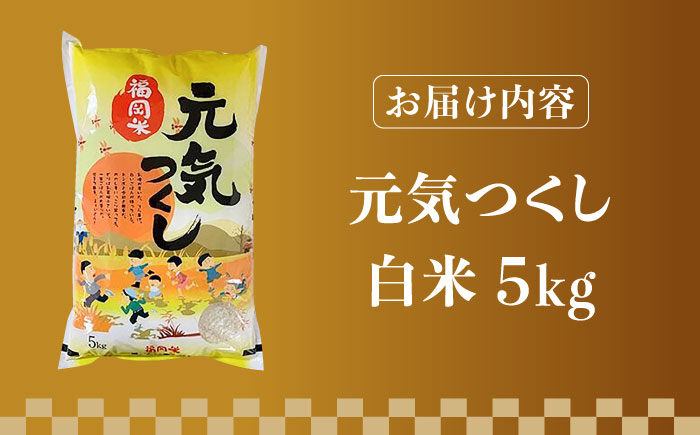 【先行予約】【令和7年産】福岡県産ブランド米「元気つくし」白米 5kg【2025年11月以降順次発送】《築上町》【株式会社ゼロプラス】 [ABDD001] お米 白ご飯 元気つくし ブランド米 おにぎ