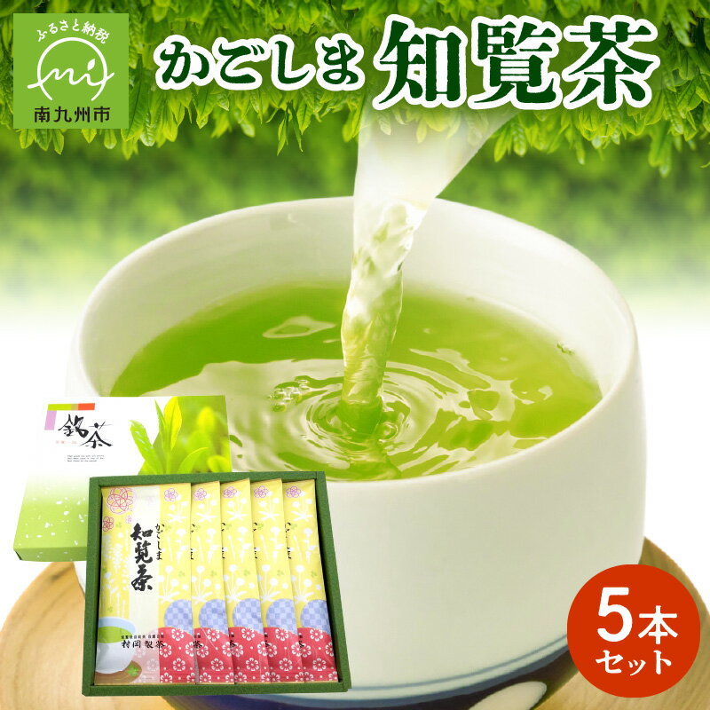 【ふるさと納税】かごしま知覧茶 100g 5本 計 500g セット 芳醇な香り 濃緑の水色 豊かな 旨味 知覧茶 緑茶 お茶 鹿児島県 南九州市 知覧産 国産 後岳 ギフト 贈り物 贈答用 茶 煎茶 飲料 日本茶 村岡製茶 送料無料