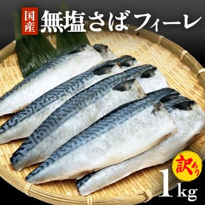ふるさと納税 石巻市 訳あり 無塩サバフィレ1.0kg(10枚前後) 冷凍 さば 鯖 不揃い 魚 お魚 焼き魚 石巻応援