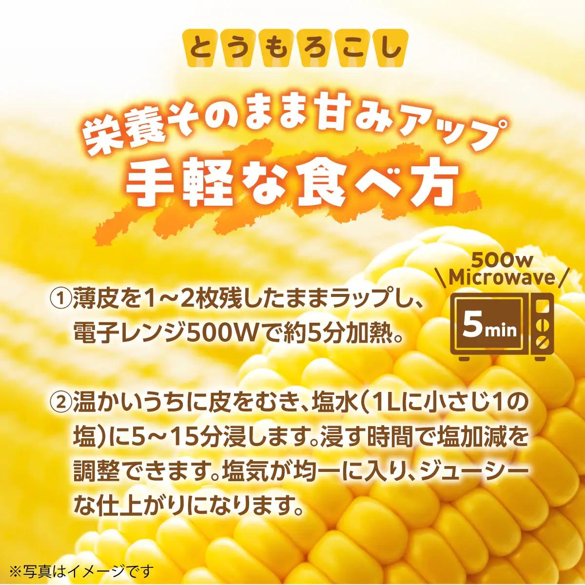 北海道壮瞥町 2回 定期便 8月上旬・8月下旬朝採り！産地直送 北海道壮瞥町産 とうもろこし黄・白 食べ比べ SBTP011