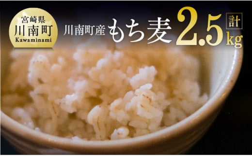 令和5年産 もち麦 2.5kg（500g×5袋）【国産 麦 もち麦 食物繊維】