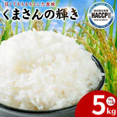 ふるさと納税 八代市 【先行予約】《令和7年産》くまさんの輝き 5kg×1袋 計5kg 熊本県産