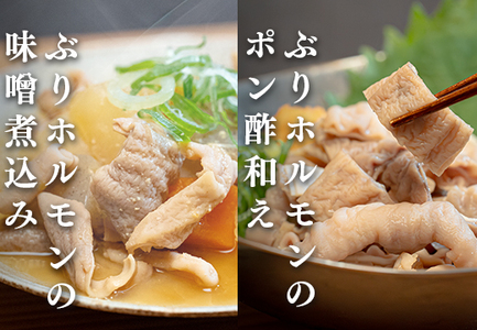 ぶりホルモン 1kg 希少部位 ブリ 鰤 ぶり ブリホルモン 養殖 活締め ホルモン 海鮮 魚介 魚 海産物 冷凍 おつまみ 内臓 珍味 漁師飯 新鮮 下処理済み 産地直送 おいしい 人気 おすすめ 