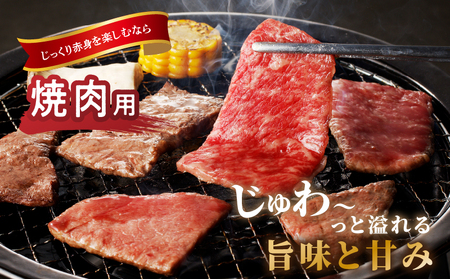 生産者応援≪肉質等級4等級以上≫黒毛和牛赤身焼肉(計1kg) 肉 牛 牛肉 国産_T030-093
