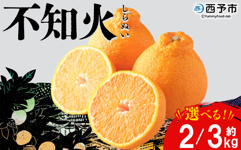 
            ＜おはこやがつくる おはこデコ（不知火）約2kg/3kg（L～3Lサイズ）＞ 果物 くだもの フルーツ 柑橘 蜜柑 ミカン しらぬい シラヌイ みかん 特産品 西宇和 愛媛県 西予市【常温】
          