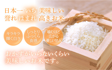 米どころ福井のお米！いちほまれ5kg 特A通算5回！ [e27-a016] 福井県 いちほまれ 米 お米