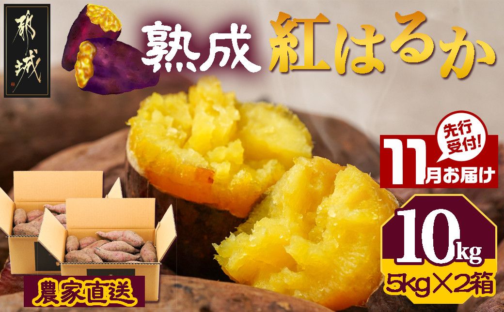 
            先行受付!【11月お届け】【農家直送】山下農園　熟成紅はるか 10kg_12-I701-11_(都城市) 都城産 紅はるか S～2Lサイズ混合 山下農園 さつまいも兄弟 長期熟成 甘い
          
