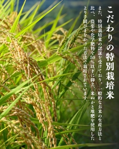 【令和8年産先行予約】【10月初旬発送】平泉町産特別栽培米 金色の風2kg【mih005】