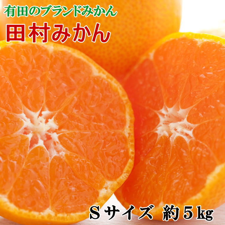 【ふるさと納税】 【ブランドみかん】田村みかん約5kg（Sサイズ・秀品）※2025年11月下旬～2025年12月下旬頃順次発送予定（お届け日指定不可）