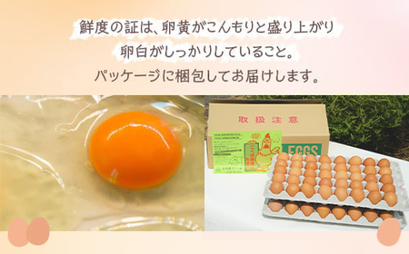 小久保ファーム　濃厚卵黄　産みたてたまご　赤玉80個入り（M玉） _EI03