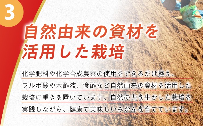 みかん ミカン 柑橘 温州みかん 果物 くだもの フルーツ 長崎みかん 長与みかん 極早生みかん 5kg