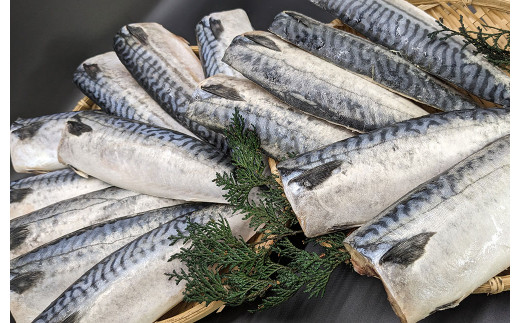 プロ食材 サバフィーレ 3kg 無塩 無塩鯖 さば サバ 鯖フィーレ 焼魚 煮魚 揚げ 料理 さかな