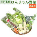 【ふるさと納税】ほんまもん野菜 8品目 8種類 野菜 セット 詰め合わせ 旬 栽培期間中化学合成農薬・化学肥料不使用 臼杵市産 九州産 国産 送料無料