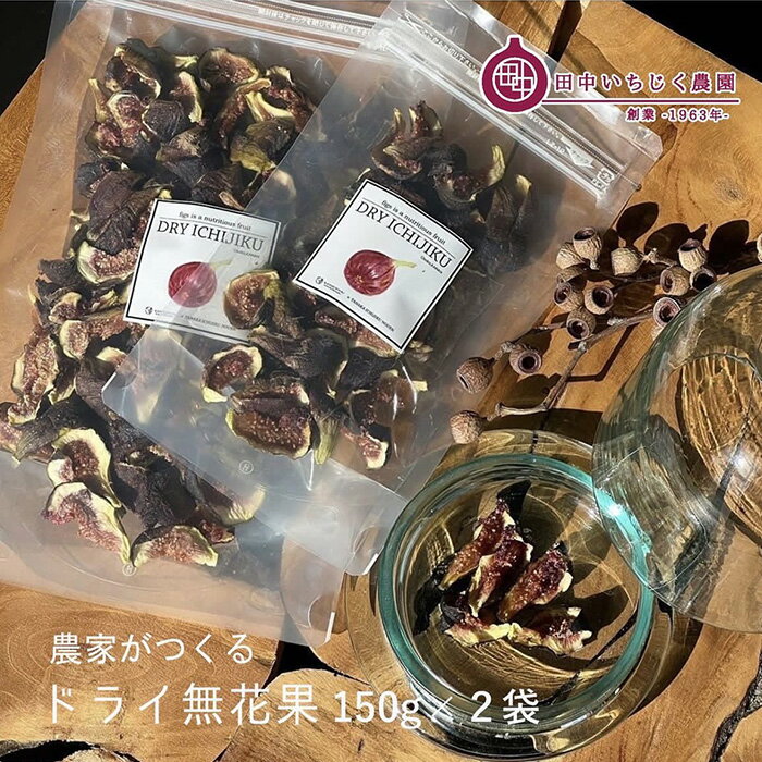 【ふるさと納税】No.345 ドライいちじく ／ 無花果 イチジク 栄養 ドライフルーツ 凝縮 送料無料 大阪府