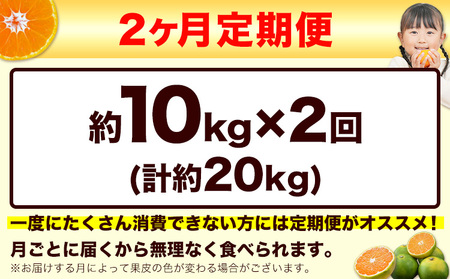 【2ヶ月定期便】訳あり みかん 小玉みかん くまもと小玉みかん 10kg (10kg×1箱)   秋 旬 不揃い 傷 ご家庭用 SDGs 小玉 たっぷり 熊本県 産 S-3Sサイズ フルーツ 旬 柑橘