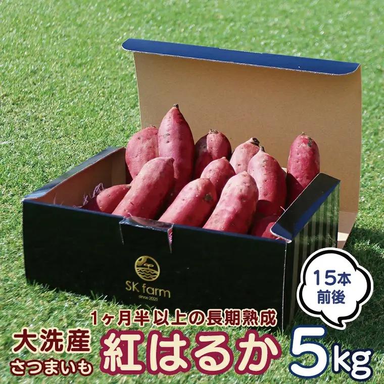 大洗産 さつまいも 紅はるか 5kg （15本前後） Sea Sweet _CF001