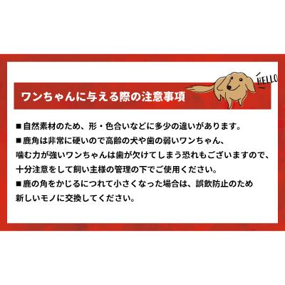 ふるさと納税 浦河町 犬用「鹿の角」Sサイズ×2本[53-1595] |  | 02