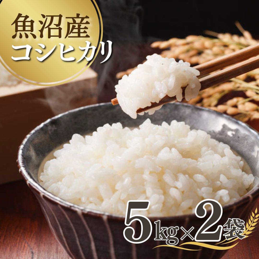 【ふるさと納税】【先行予約】 令和7年産新米 魚沼産コシヒカリ 5kg×2袋 雪室貯蔵 吉兆楽 【0038-0003-01】