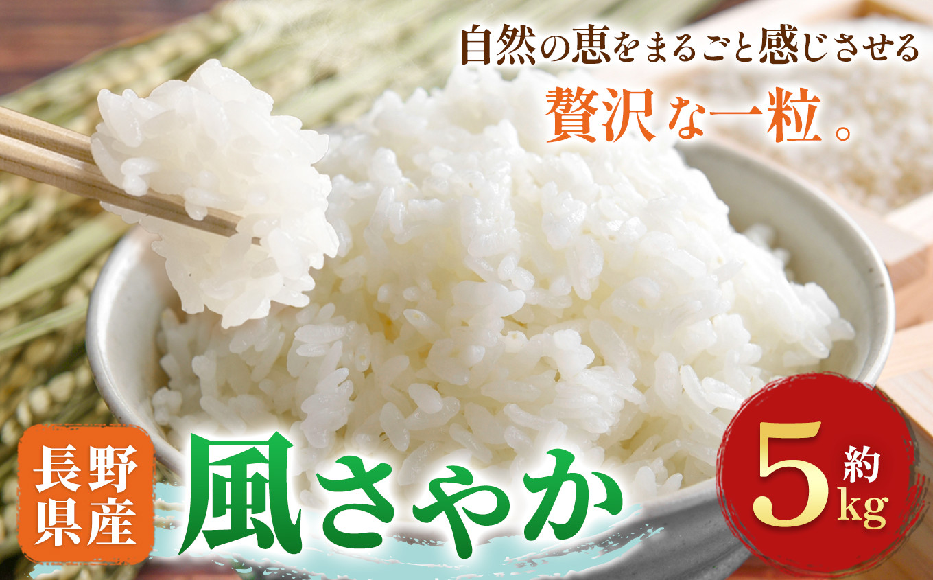 
                  木島平村産 風さやか 約5kg | 米 風さやか 長野 長野県 長野県産 木島平村 木島平村産
                