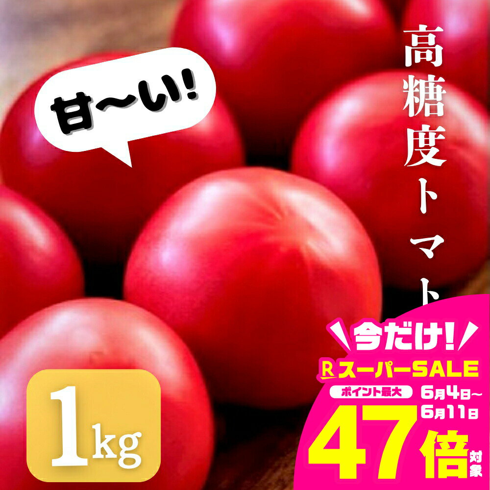 【ふるさと納税】糖度9度以上　『高糖度 フルーツトマト 麗（れい）』 1kg トマト 愛知県 豊橋市 ブランドトマト 野菜 赤
