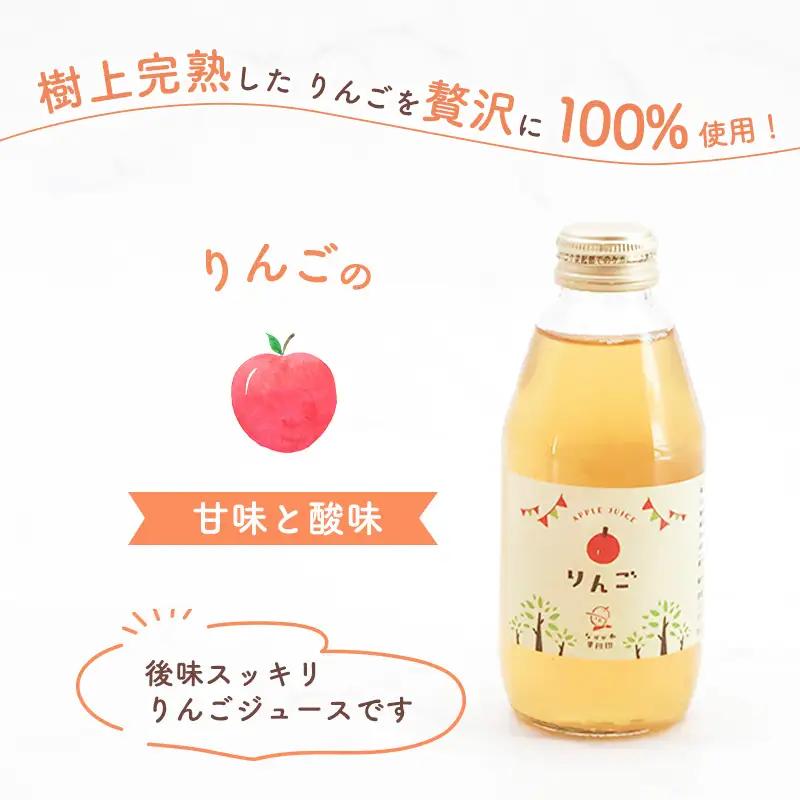 《ギフト箱》 わくわくりんごジュース 果汁100％ ジュースセット 200ml×6本 樹上完熟 りんご　014-G-NG013