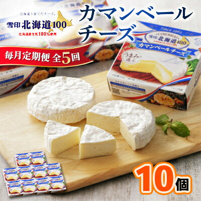 【ふるさと納税】【毎月定期便】雪印北海道 カマンベールチーズ 1箱(90g×10個入り)全5回【配送不可地域：離島】【4014033】