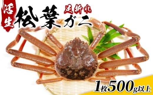 【22015】鳥取県網代産　松葉がに（足折れ１～２本）500g以上（生）
