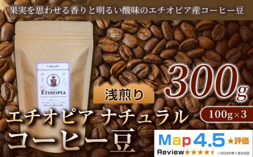 エチオピア ナチュラル（100g×3袋）×1セット
