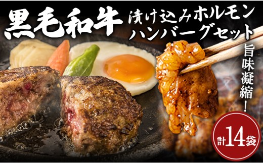 黒毛和牛漬け込みホルモン・ハンバーグセット（計14袋） 絶品 ブランド牛 黒毛和種 有限会社トップルーフ《60日以内に出荷予定(土日祝除く)》