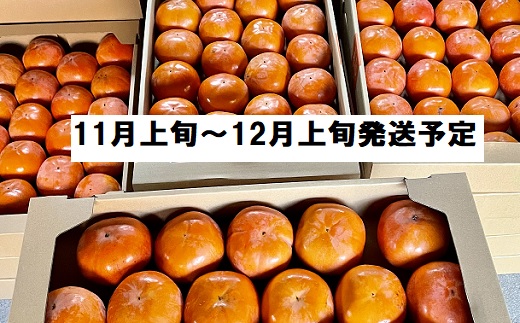 富有柿 ご自宅用 約5kg：B140-002