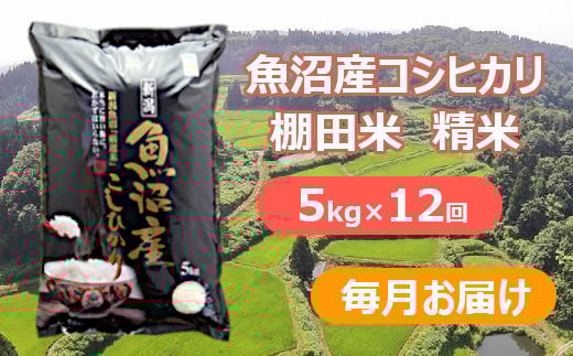 
            【先行予約】【令和7年産 新米】【12か月定期便(毎月全12回)】魚沼産コシヒカリ棚田米 白米5kg×12回(毎月お届け)※2025年9月下旬以降より順次発送予定 佐藤農場 【0018-0023DB00-01】
          