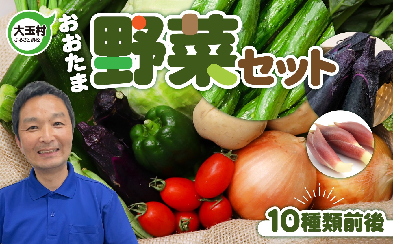 
                  リピーター続出！！野菜セット 〈10種類前後〉 産地直送 詰め合わせ 野菜 にんじん／きゅうり／じゃがいも／玉ねぎ／ピーマン／ほうれん草／ねぎ／トマト
                