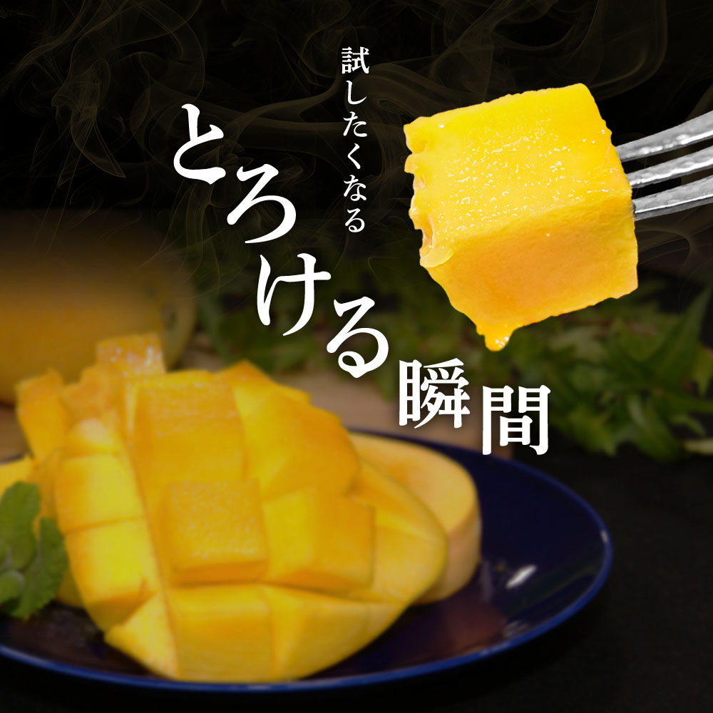 先行予約 レア品種 完熟金蜜マンゴー１kg（2個〜4個入り） 南国フルーツ 金蜜 きんみつ種 糖度20度以上 高糖度 果物 果汁 濃厚 ジューシー デザート ギフト プレゼント 送料無料【R00627