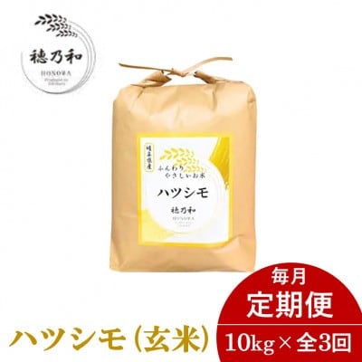 【発送月固定定期便】【先行予約】岐阜県産ハツシモ(玄米)10kg全3回【配送不可地域：離島】【4067040】