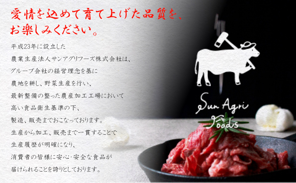 【５回定期便】 宮崎県産 黒毛和牛 サーロイン ステーキ 300g ×3×5ヶ月 合計4.5kg 小分け 冷凍 送料無料 国産 牛 肉 霜降り BBQ バーベキュー キャンプ 真空包装 スペース 収納