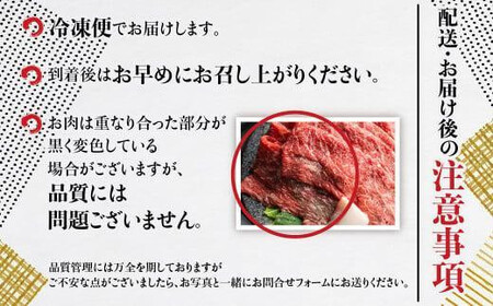【定期便全3回】飛騨牛 訳あり 切り落とし600g ｜肉 飛騨牛 にく 切り落とし 高山 飛騨高山 株式会社丸明 LR104