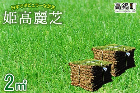 ＜姫高麗芝 2平方メートル＞※2か月以内に順次出荷【c591_hg_x2】