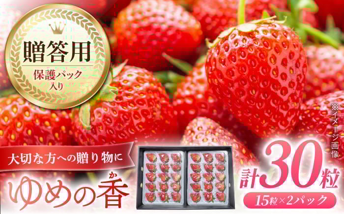 
【先行予約】＜贈答用＞いちご ゆめの香 30粒（15粒×2パック）化粧箱入 長崎県/わたる農園 [42AABB003] イチゴ 苺 フルーツ 贈答 プレゼント ギフト

