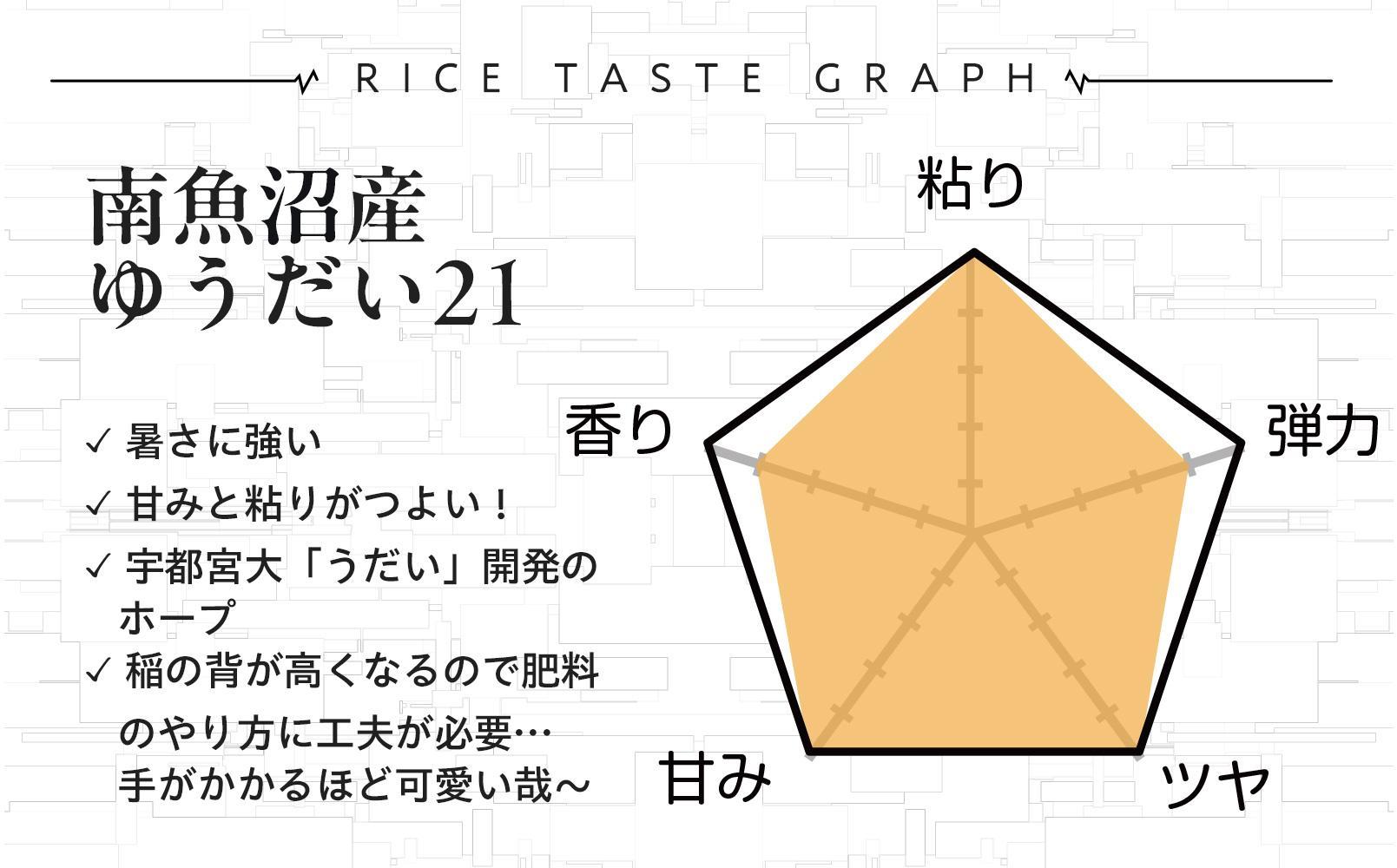 【令和7年新米予約】精米5kg 南魚沼産ゆうだい21※令和7年10月中旬から順次発送・農家直送_AG
