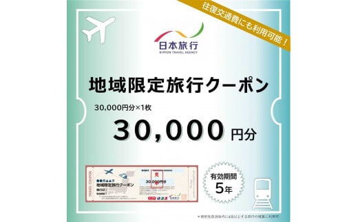 沖縄県恩納村　日本旅行　地域限定旅行クーポン30,000円分