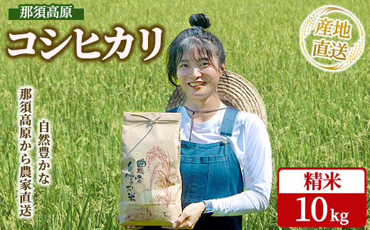 那須高原 令和7年産 コシヒカリ 10キロ 精米〔P-402〕 ｜ 新米 白米 10kg こしひかり 米 こめ コメ ごはん ご飯 産地直送 期間限定 季節限定 栃木県 那須町 ※2025年10月中旬～2026年2月下旬頃に順次発送予定