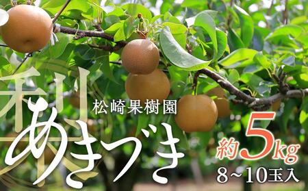 【松崎果樹園】梨「あきづき」約5kg（8～10玉入）【旬のフルーツ、果物、旬の梨、新鮮梨、あきづき水梨】